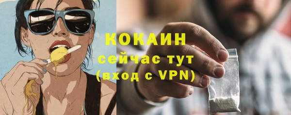 ПСИЛОЦИБИНОВЫЕ ГРИБЫ Иннополис