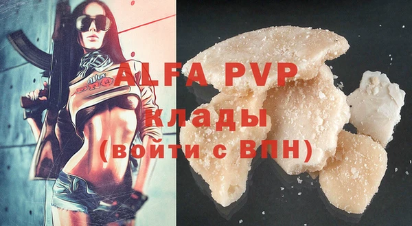 МДПВ Инсар