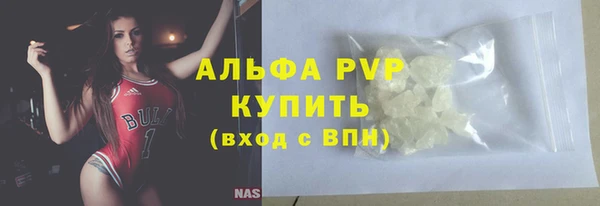 ПСИЛОЦИБИНОВЫЕ ГРИБЫ Иннополис