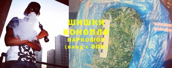гидра Карталы