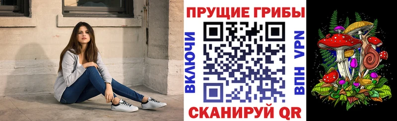Галлюциногенные грибы Psilocybine cubensis  магазин продажи наркотиков  Сураж 